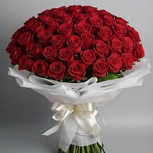 Букет 101 Красная роза Блэк Мэджик в Еманжелинка