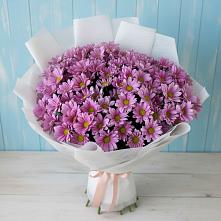 Букет цветов из:  Хризантемы в Еманжелинка