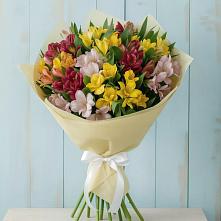 Букет цветов из:  Альстромерии в Еманжелинка