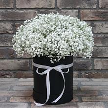 Цветочная композиция из Гипсофила в шляпной коробке в Еманжелинка