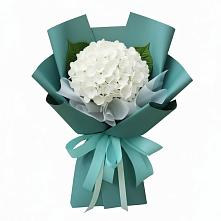 Букет цветов из:  Гортензия #REPLACE_PRED# Еманжелинка